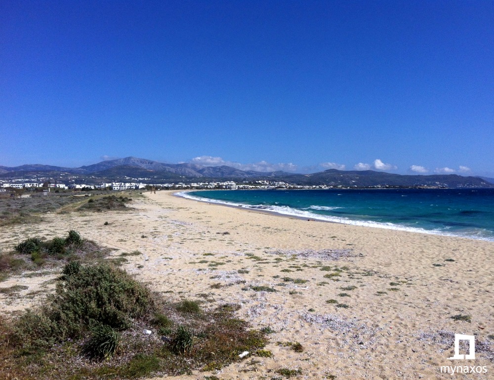 Το πανηγύρι στον Άγιο Προκόπιο