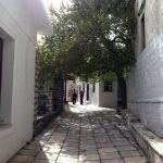 Απείρανθος