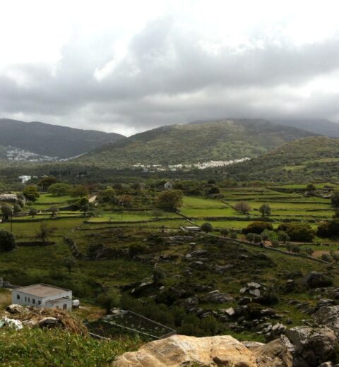 Βόλτα για ψώνια στα εμπορικά καταστήματα της Χώρας