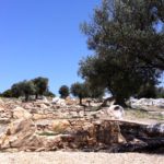 Το Ιερό των Πηγών στο Φλεριό