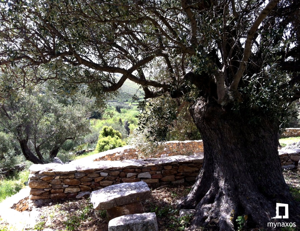 Το Ιερό των Πηγών στο Φλεριό