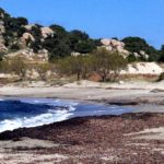 Μικρή Βίγλα