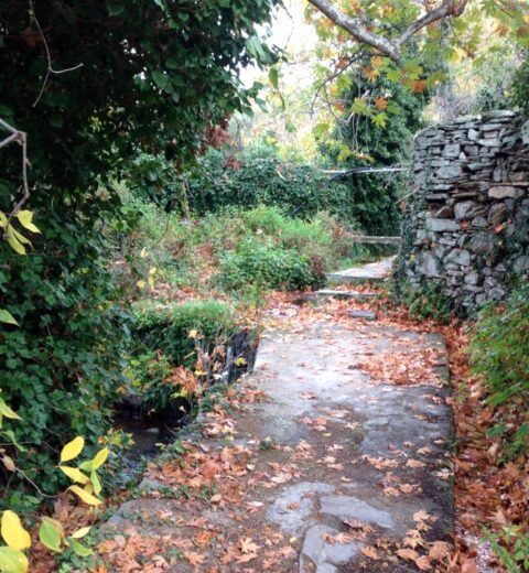 Βόλτα για ψώνια στα εμπορικά καταστήματα της Χώρας