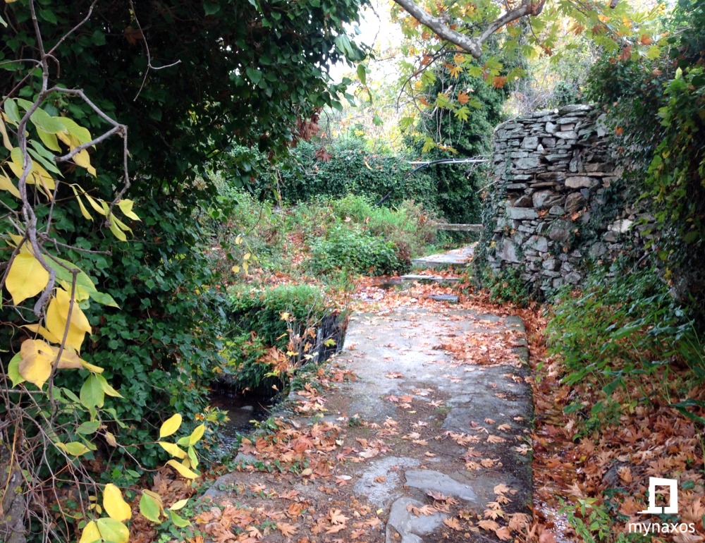 Ανοιξιάτικη βόλτα στην Ποταμιά