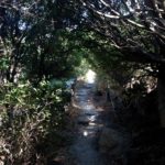 Πύργος και Μονή Αγιάς