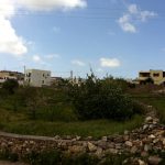 Χείμαρρος και Τσικαλαριό