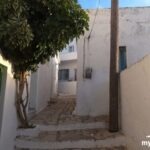 Δαμαριώνας